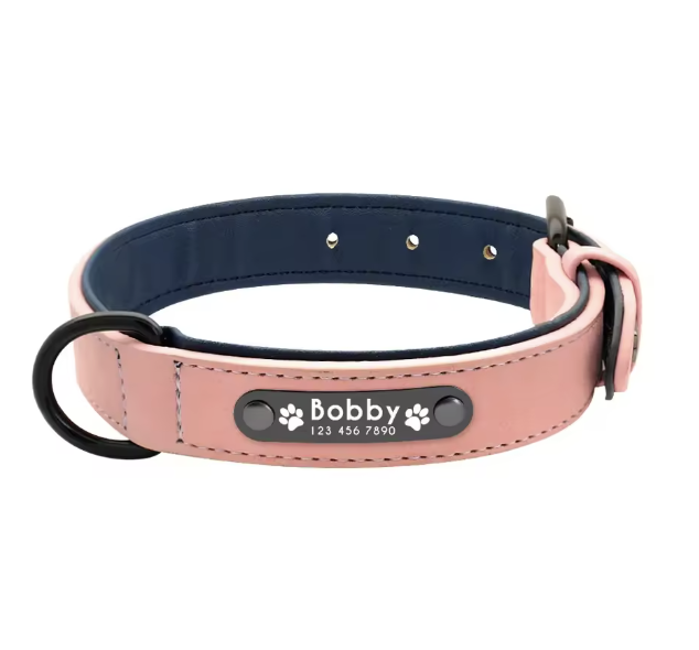 Personalized Engraved Dog Collar with Custom Name Plate
