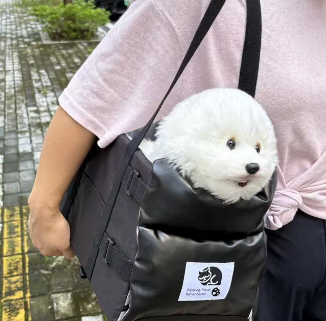 Portable Car Safety Pet Seat