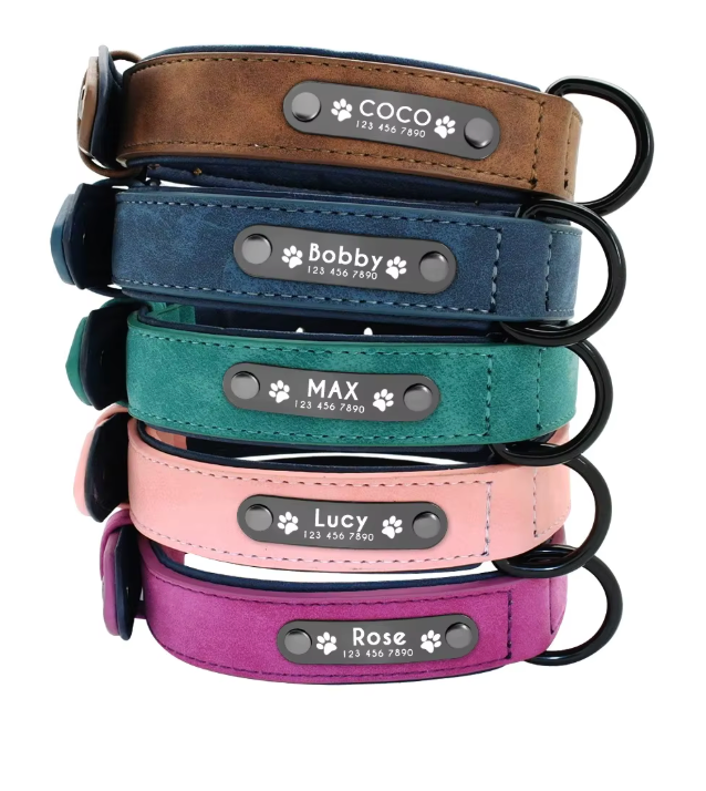 Personalized Engraved Dog Collar with Custom Name Plate