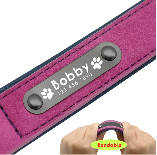 Personalized Engraved Dog Collar with Custom Name Plate