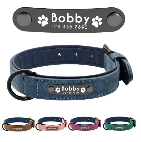 Personalized Engraved Dog Collar with Custom Name Plate