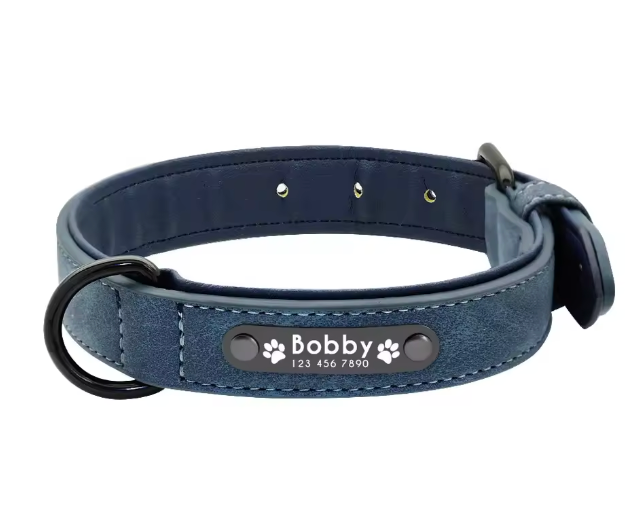 Personalized Engraved Dog Collar with Custom Name Plate