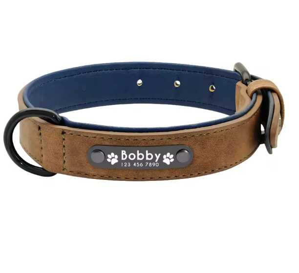 Personalized Engraved Dog Collar with Custom Name Plate